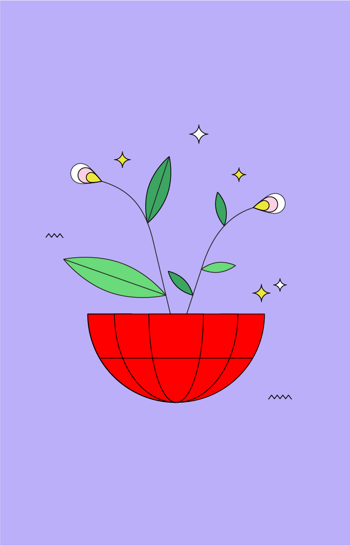Going Green: Our Journey to Sustainable Hosting